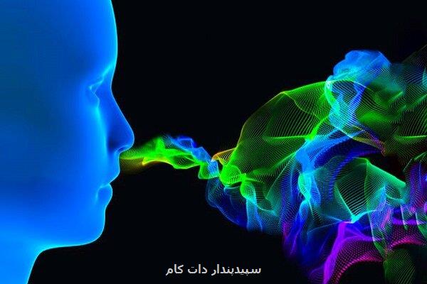ادغام نانو و هوش مصنوعی، راهگشای تشخیص گازهای پیچیده